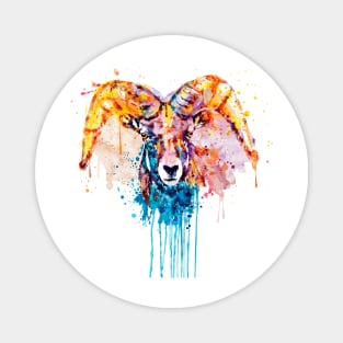 Bighorn Sheep Portrait Magnet